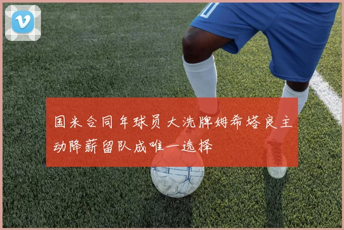 国米合同年球员大洗牌姆希塔良主动降薪留队成唯一选择
