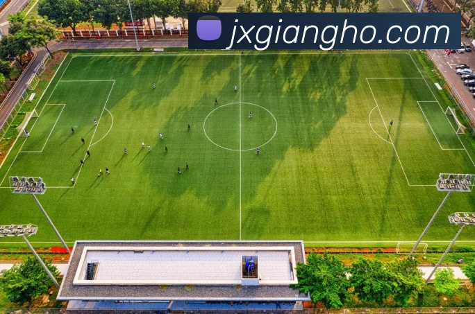 平台展示图
